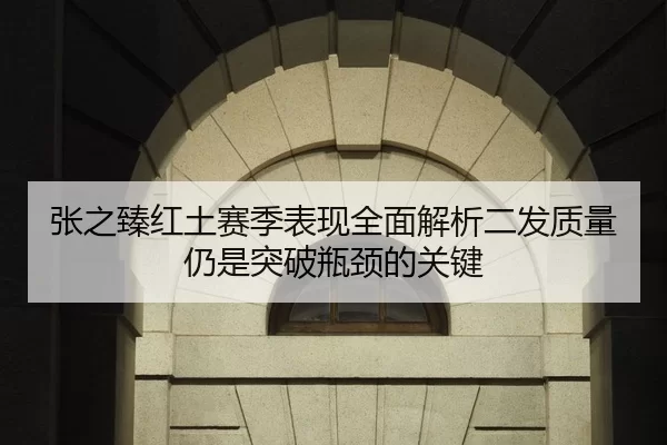 张之臻红土赛季表现全面解析二发质量仍是突破瓶颈的关键